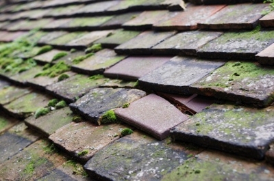 Moss Removal Cheshire